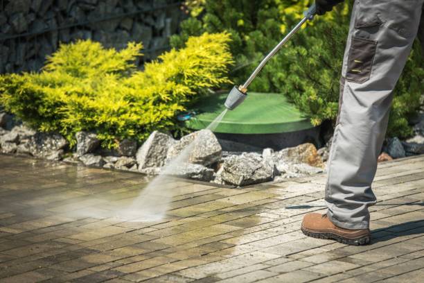 Best Roof Washing  in Mounds View, MN